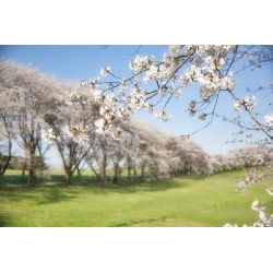 Frühjahrs-Weinpaket Nr. 2...