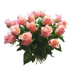 Muttertags-Angebot (versandkostenfrei)